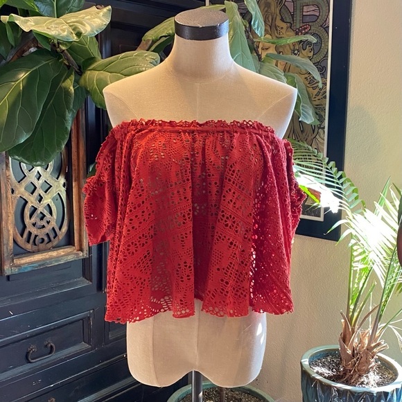 Free People Eyelet off shoulder crop peasant top in rust - Picture 4 of 15